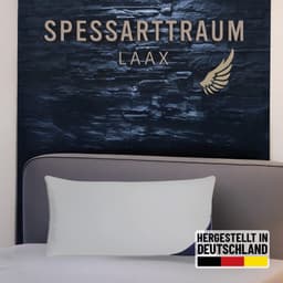 SPESSARTTRAUM Laax 3-Kammer-Kopfkissen | Weiß