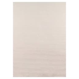 Ayyildiz Teppiche Teppich SKY 5400 | Beige
