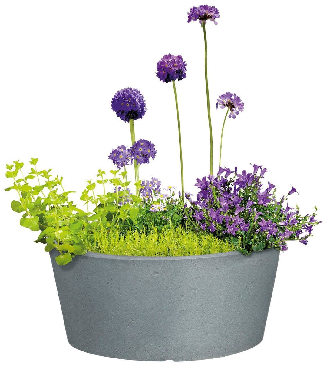 Scheurich Blumentopf 40/239 C-CONE BOWL | Grau