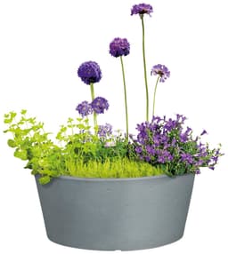 Scheurich Blumentopf 40/239 C-CONE BOWL | Grau