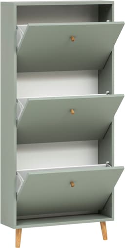 Schildmeyer Schuhschrank Bjarne | Grün