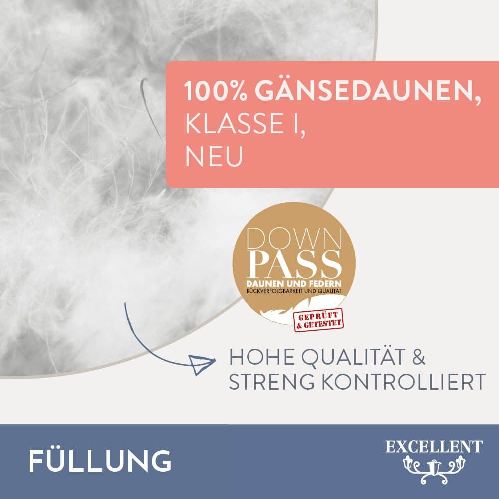 Excellent Gänsedaunenbettdecke Davos | Weiß