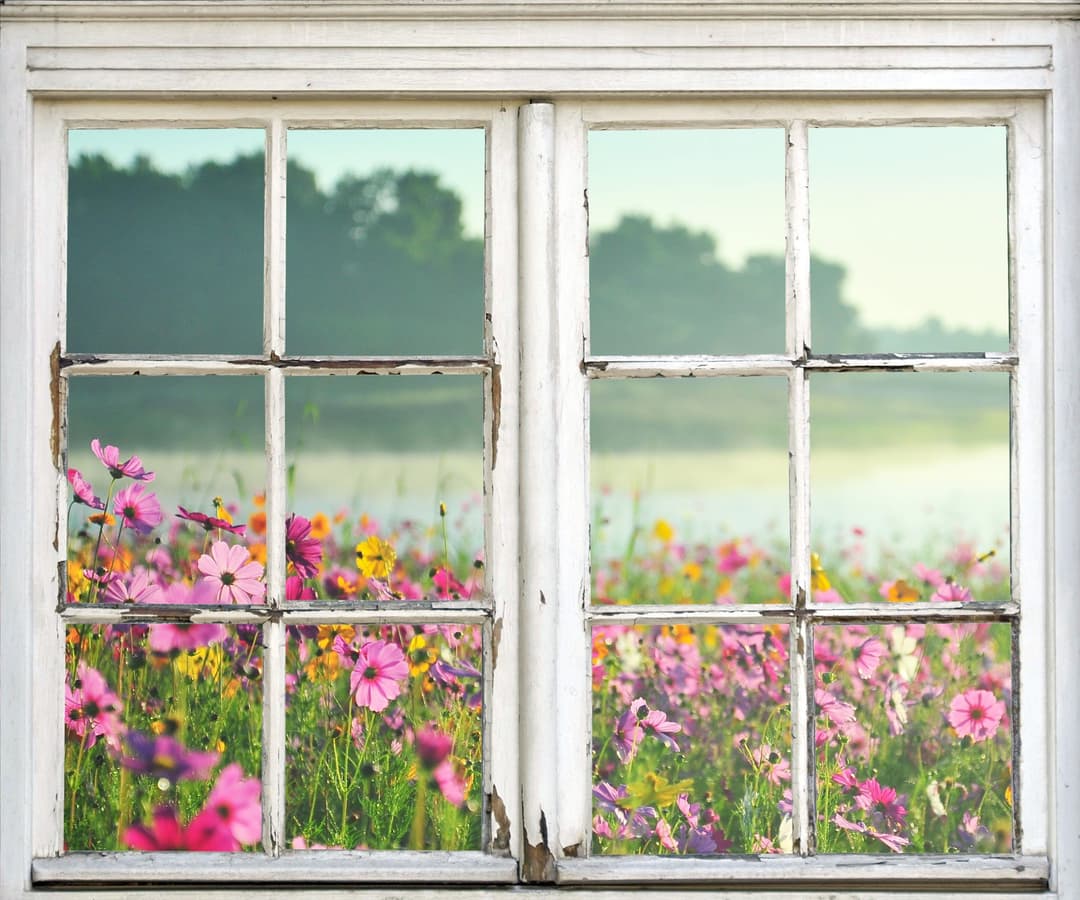 queence Wandsticker Blumenwiese | Mehrfarbig