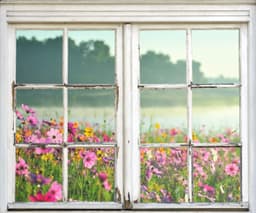 queence Wandsticker Blumenwiese | Mehrfarbig