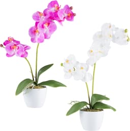 Kunstorchidee Orchidee Phalaenopsis | Mehrfarbig