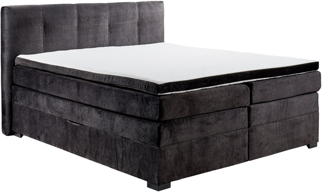 ED EXCITING DESIGN Boxspringbett Fanes | Braun
