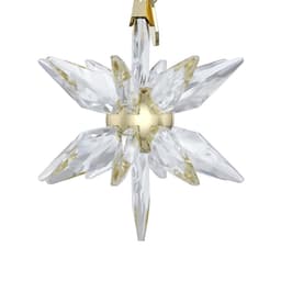 Swarovski Annual Edition 3D Ornament 2025 | Mehrfarbig