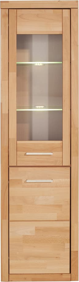 Vitrine LOGO | Holztöne