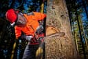Einhell Akku-Kettensäge GE-LC 36/35 Li SOLO | Rot 2