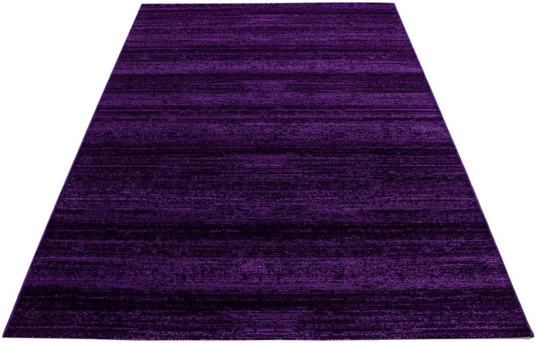 Ayyildiz Teppiche Teppich Plus 8000 | Lila