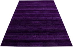 Ayyildiz Teppiche Teppich Plus 8000 | Lila