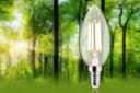 Paulmann LED-Leuchtmittel Eco-Line Filament | Transparent 2