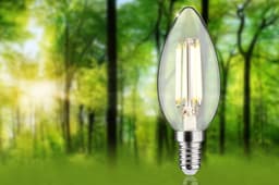 Paulmann LED-Leuchtmittel Eco-Line Filament | Transparent