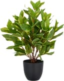 Kunstpflanze Epipremnum aureum | Grün