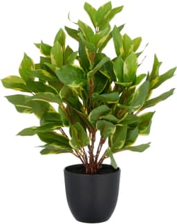 Kunstpflanze Epipremnum aureum | Grün