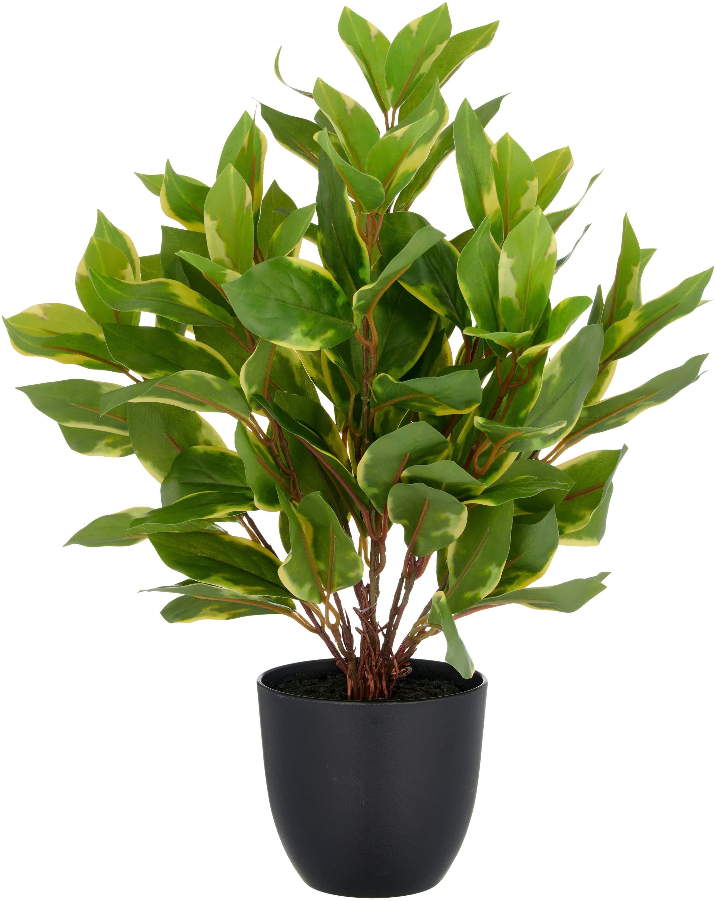 Kunstpflanze Epipremnum aureum | Grün