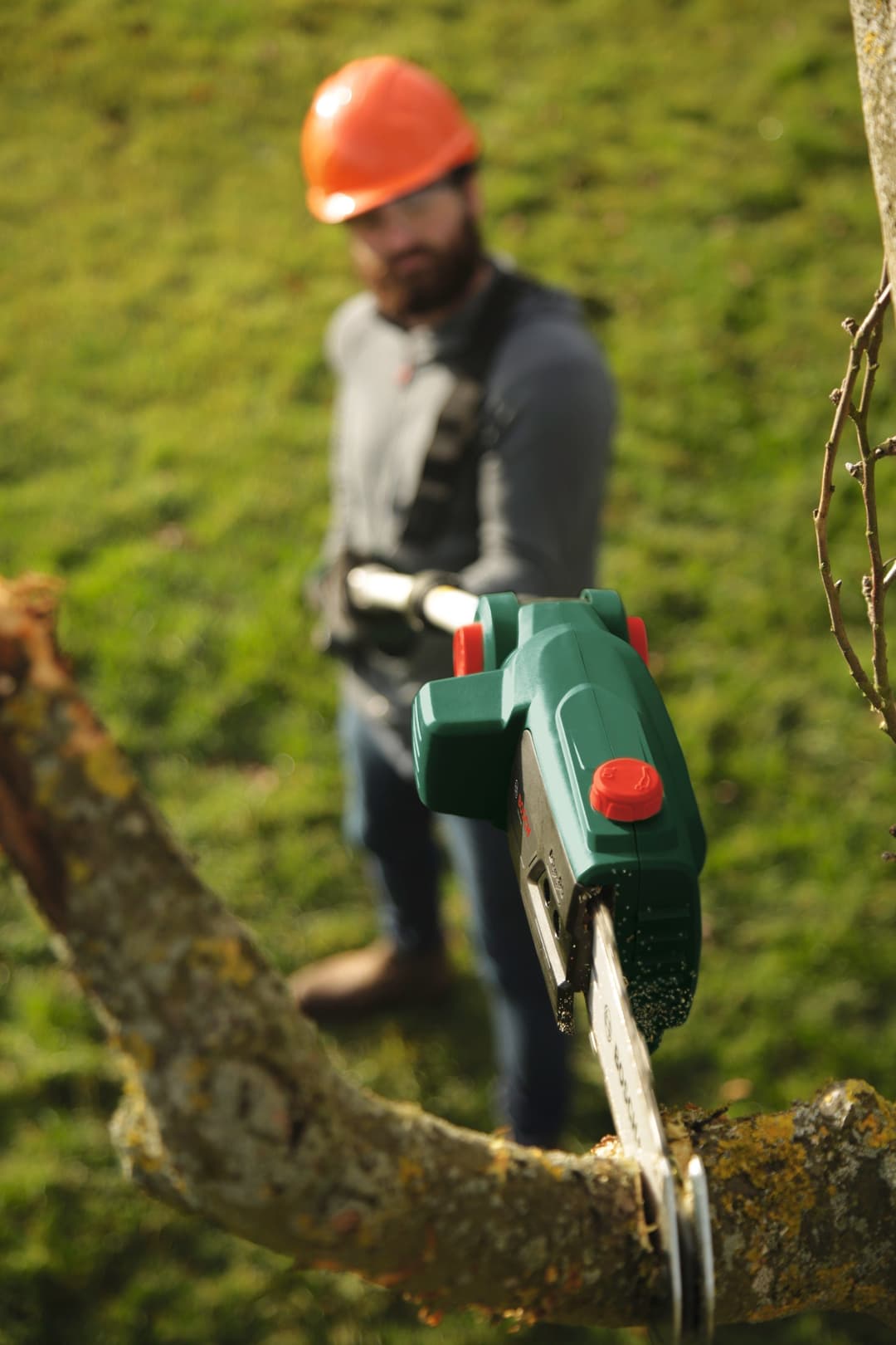Bosch Home & Garden Akku-Hochentaster UniversalChainPole 18 | Grün