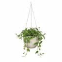 Scheurich Blumentopf 21/835 Hanging Pot | Beige 2