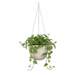 Scheurich Blumentopf 21/835 Hanging Pot | Beige