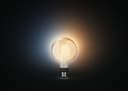 Philips Hue LED-Filament White Ambiance Giant Globe G125 | Weiß 4