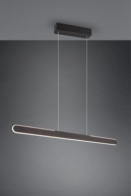 TRIO Leuchten LED Pendelleuchte HELIOS | Schwarz