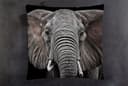 queence Dekokissen Elefant | Schwarz 3