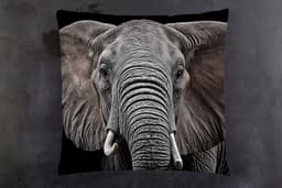 queence Dekokissen Elefant | Schwarz