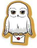 Harry Potter Dekokissen Hedwig | Mehrfarbig