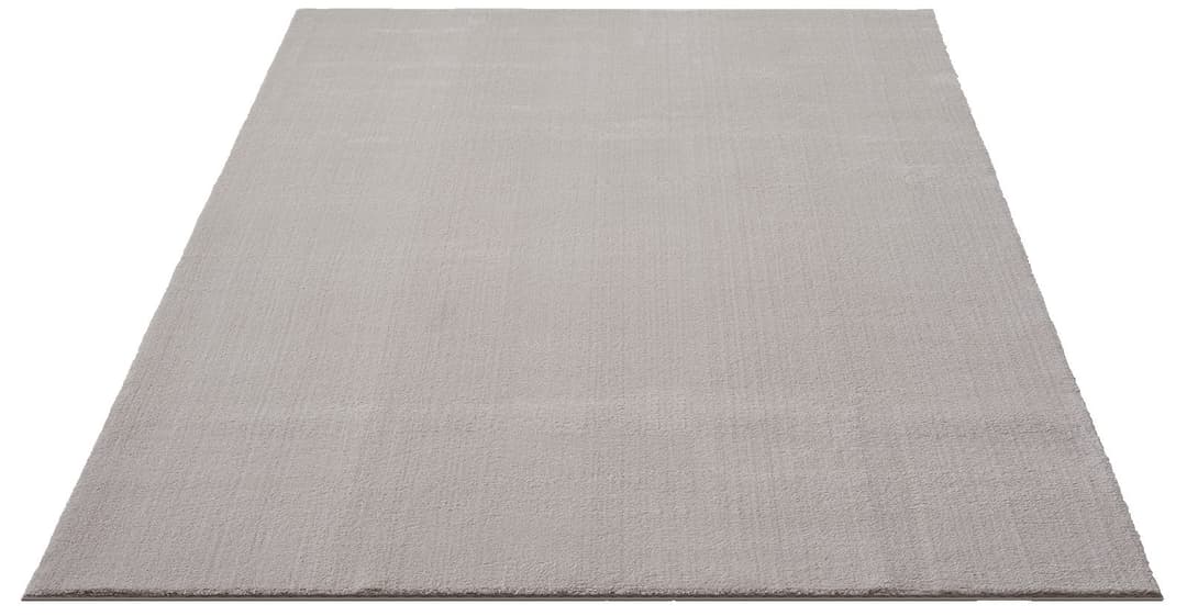 the carpet Teppich Relax | Beige