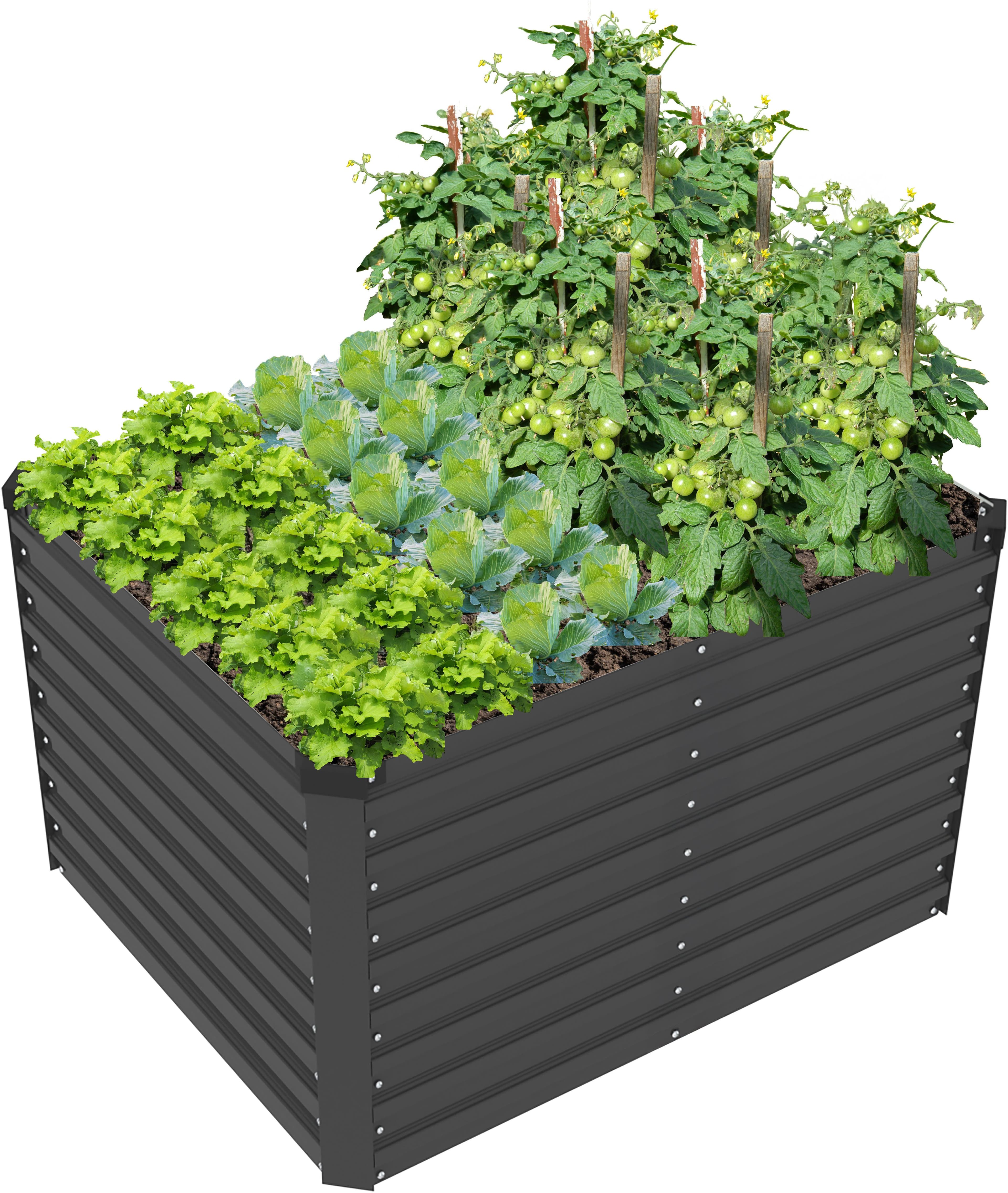 KONIFERA Hochbeet Emmy | Schwarz