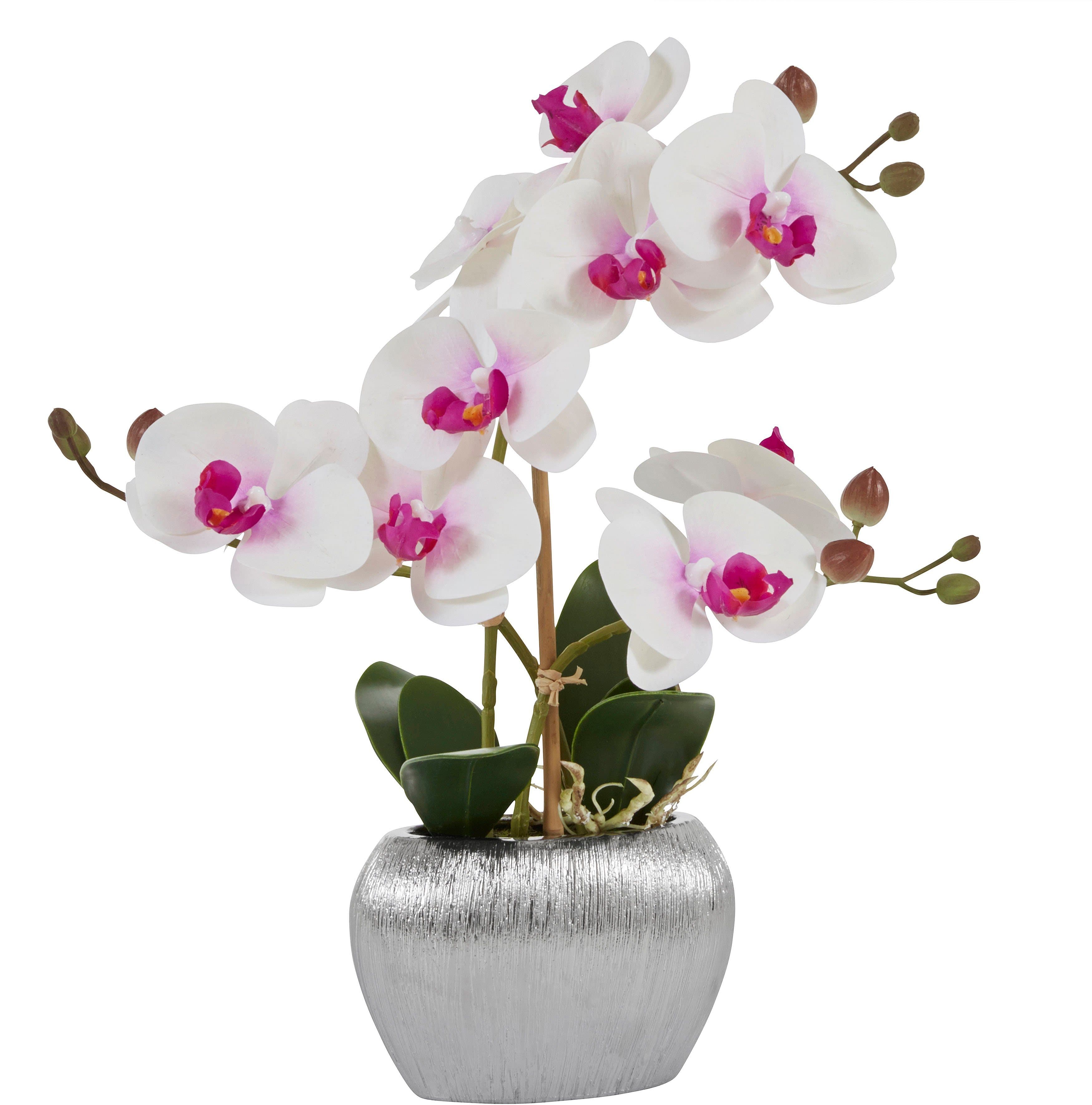Kunstpflanze Orchidee | Weiß