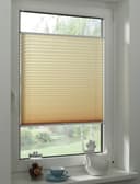 GARDINIA Plissee Concept Tageslicht | Beige 2
