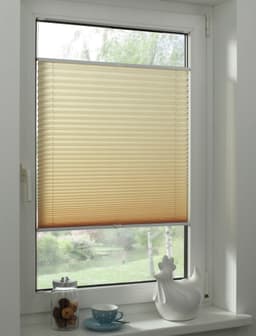GARDINIA Plissee Concept Tageslicht | Beige