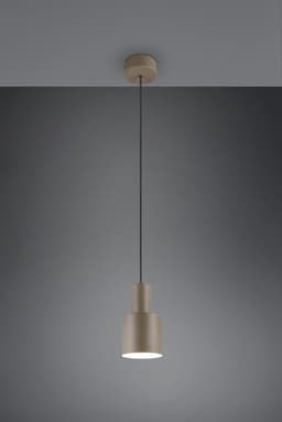 TRIO Leuchten Pendelleuchte AGUDO | Braun