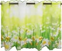 Delindo Lifestyle Scheibengardine Margeriten | Grün 2