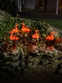 Konstsmide Dekoobjekt Flamingos für Außen | Orange