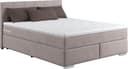 COTTA Boxspringbett Simba | Grau
