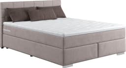 COTTA Boxspringbett Simba | Grau