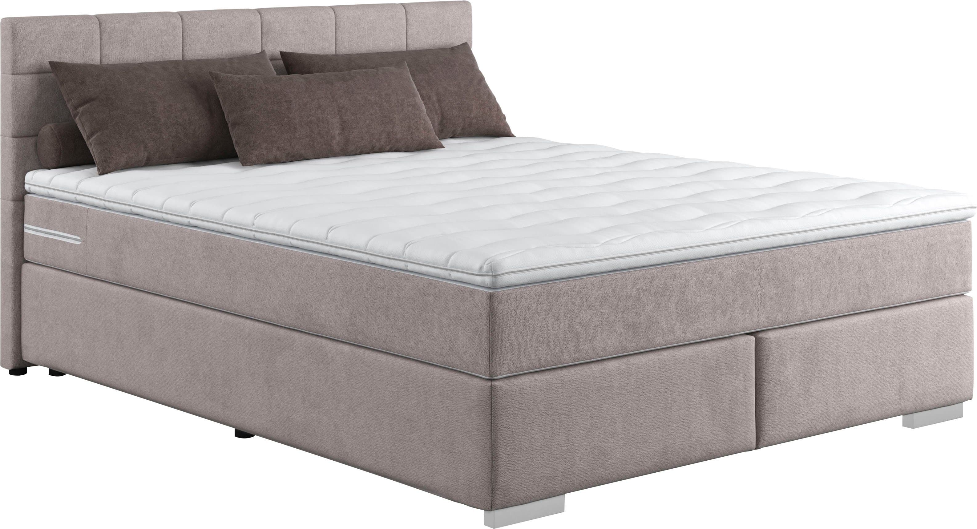 COTTA Boxspringbett Simba | Grau