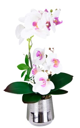 I.GE.A. Kunstorchidee Phalaenopsis | Weiß