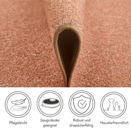 Andiamo Teppich Luton | Braun