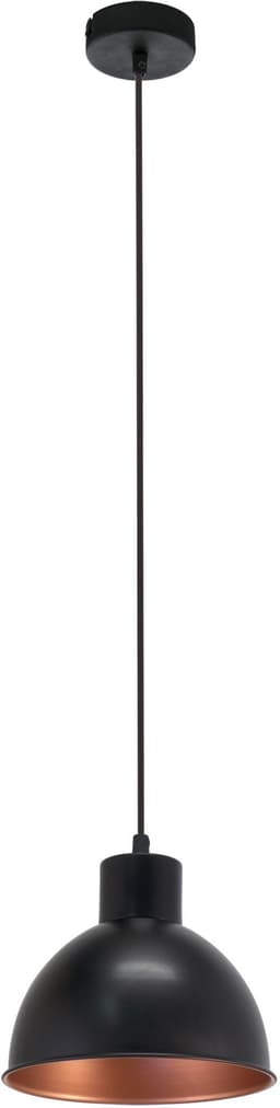 EGLO TRURO 1 Pendelleuchte | Schwarz