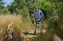 Bosch Home & Garden Akku-Rasentrimmer AdvancedGrassCut 36 | Grün 4