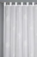 Sehlbach Gardine Schal Voile mit Flockprint Pusteblume | Weiß 2