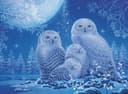 Ravensburger Puzzle Eulen im Mondschein | Blau 2