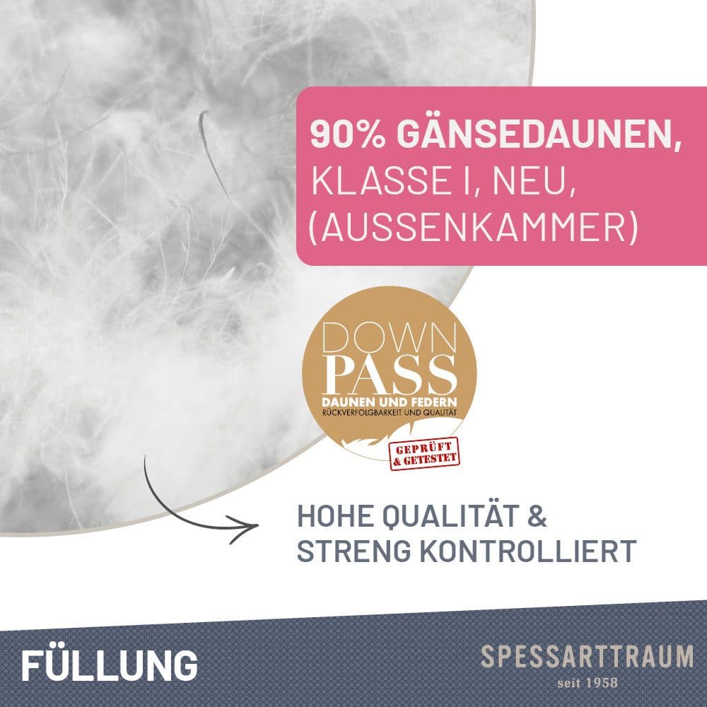 SPESSARTTRAUM 3-Kammer-Kopfkissen Premium | Weiß