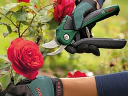 Bosch Home & Garden Akku-Astschere EasyPrune | Grün