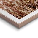 Reinders! Poster Strand | Beige 4