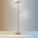 Paul Neuhaus LED Deckenfluter ARTUR | Beige 5