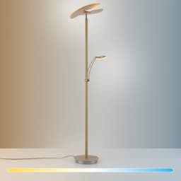 Paul Neuhaus LED Deckenfluter ARTUR | Beige